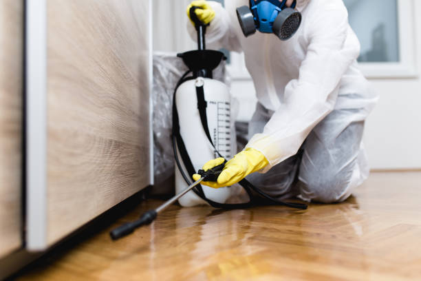 Best Cockroach Control Services  in Vienna, VA