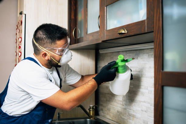 Best Mosquito Control Services  in Vienna, VA