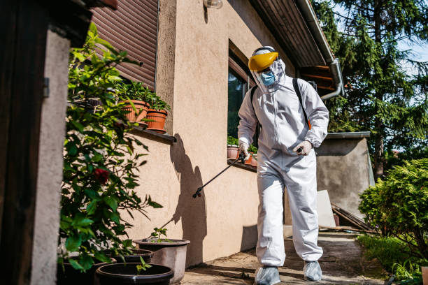 Best Flea Control Services  in Vienna, VA