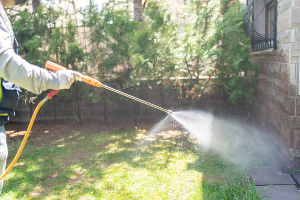 Best Rat Extermination Near Me  in Vienna, VA