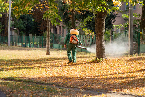 Best Mosquito Control Services  in Vienna, VA