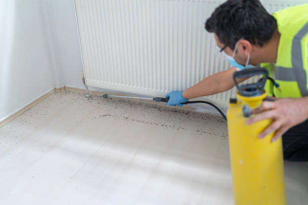 Professional Pest Control in Vienna, VA