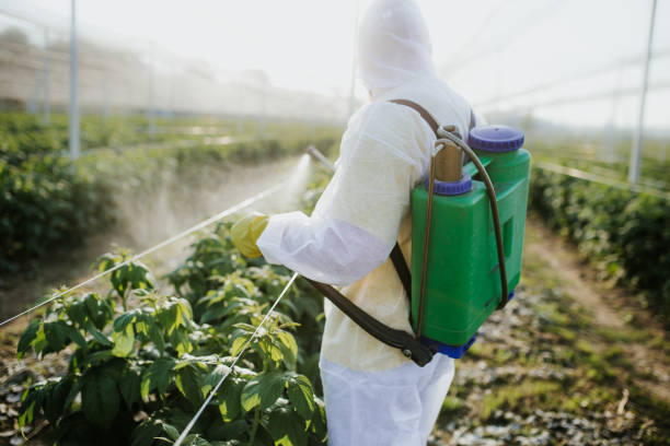 Best Emergency Pest Control  in Vienna, VA
